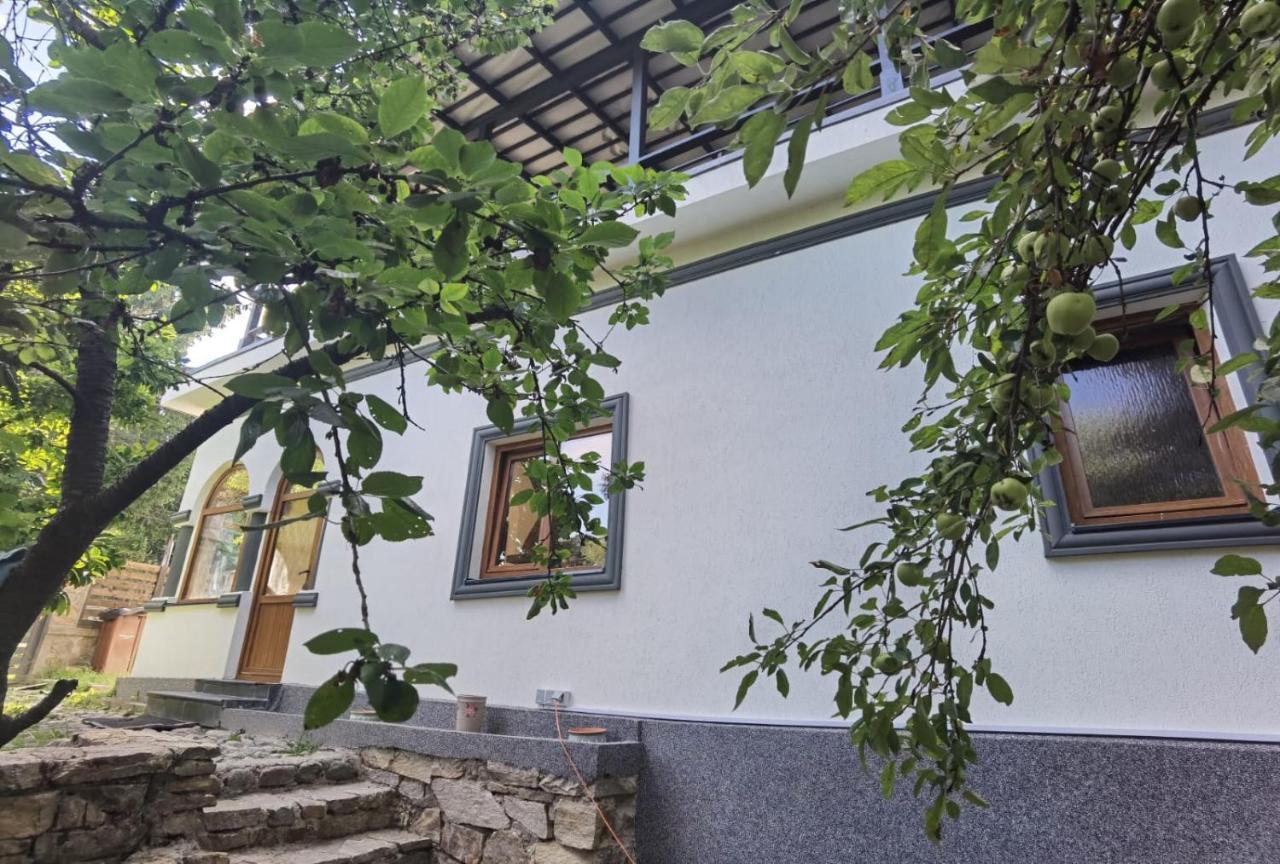 Vila Zia Hotel Корбени Екстериор снимка